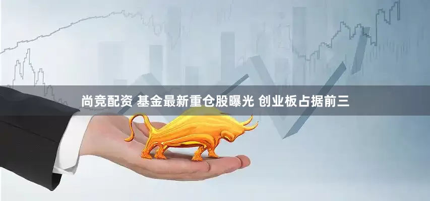 尚竞配资 基金最新重仓股曝光 创业板占据前三